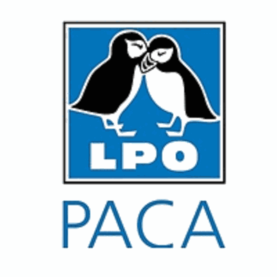 Logo LPO